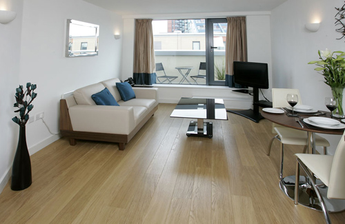 Regular Flat / Apartment Cleaning